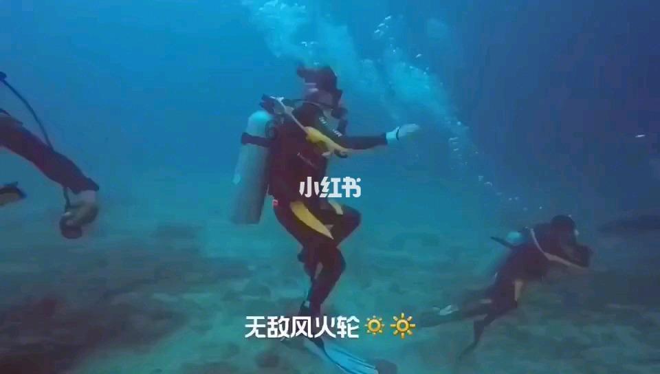 全民剧本大师内置菜单